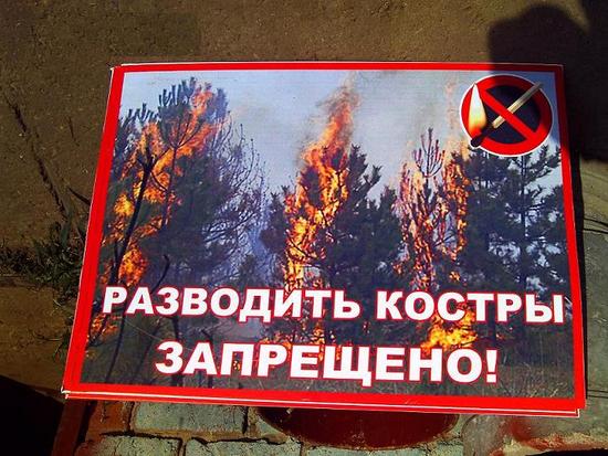 В Мордовии введен особый противопожарный режим 