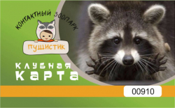 Изготовление пластиковых карт