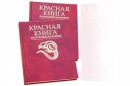 Выставка 