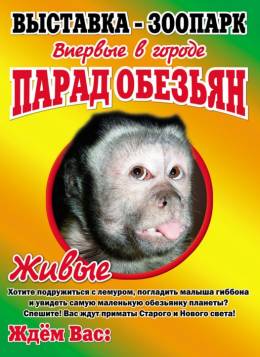Парад обезьян и мир рептилий